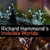 Invisible worlds, Richard Hammond (2010)