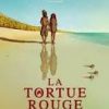 La tortue rouge, Michael Dudok de Wit (2016)